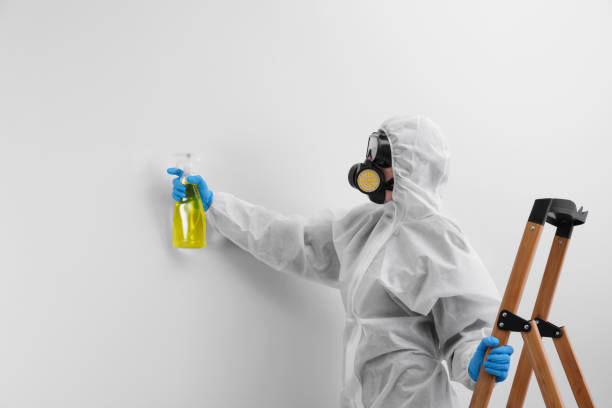 Why You Should Choose Our Mold Remediation Services in Greene, IA